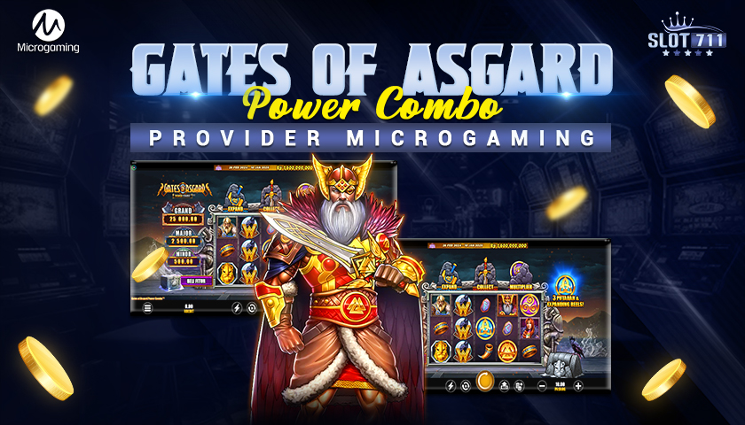 Gates Of Asgard Power Combo – Provider Microgaming