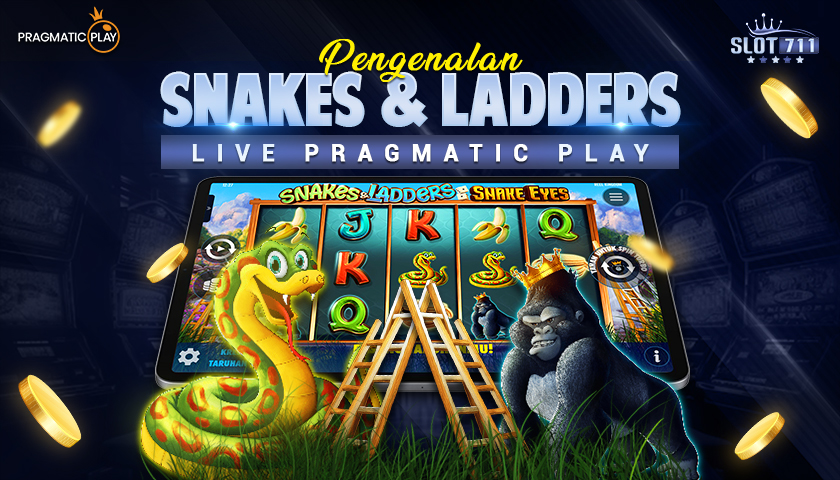 Pengenalan Snakes & Ladders Live Pragmatic Play